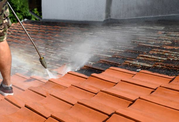 Best Best Pressure Washing Companies  in Osage City, KS